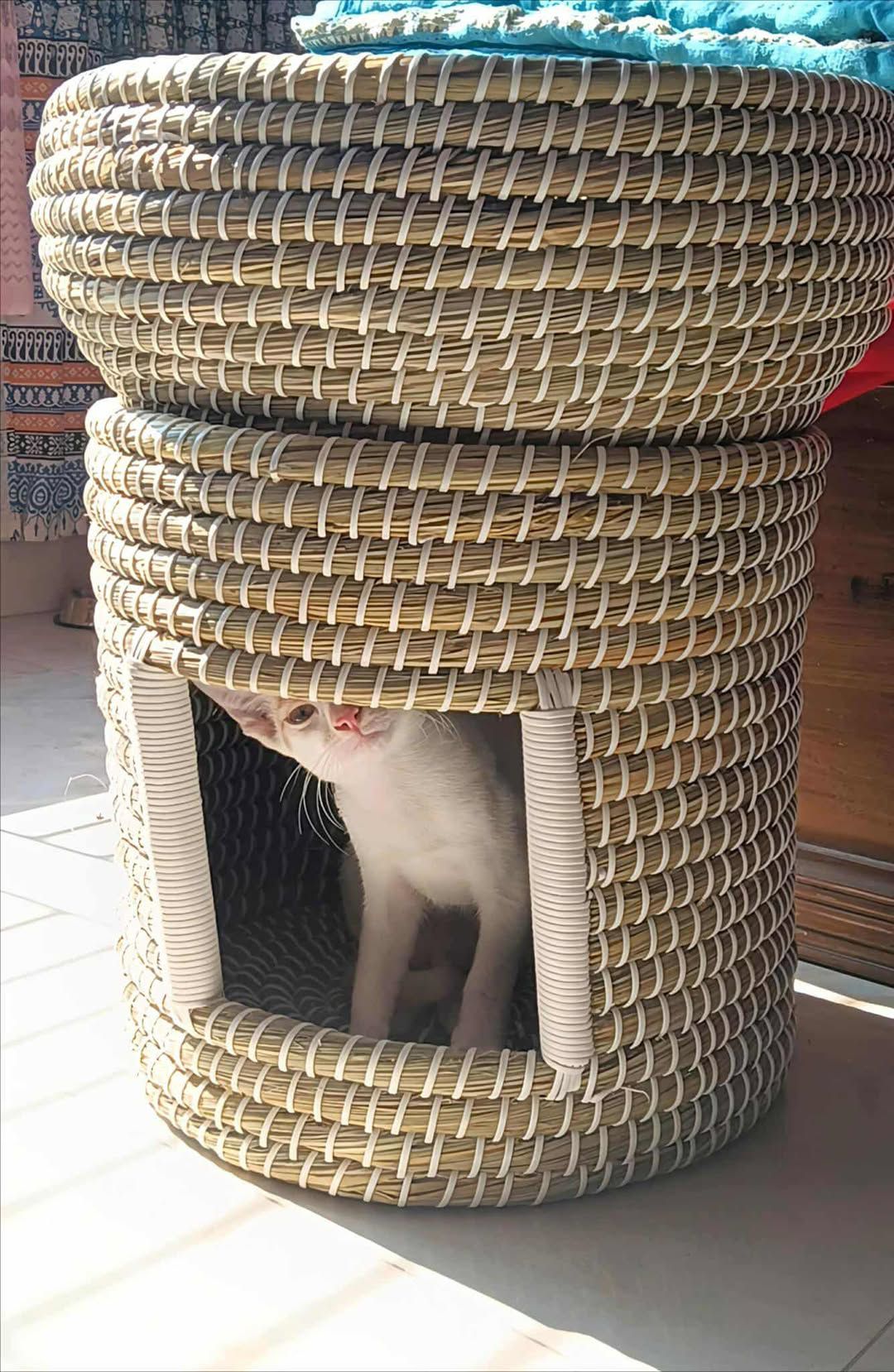 The Cat Cave