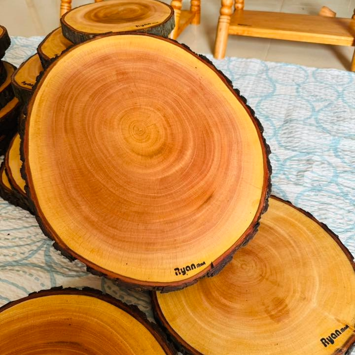Premium Natural Wood Slices with Bark - Rustic Home Decor